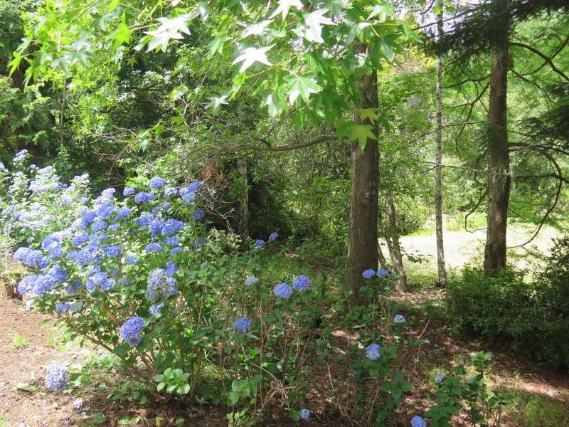 1 Bedroom Property for Sale in Hogsback Eastern Cape